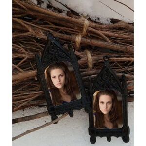 Bella Swan Earrings Vampire Romance Young Adult Fantasy Novel Jewelry